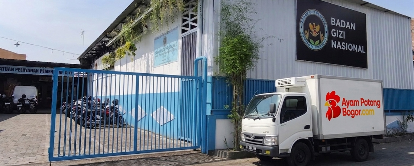 supplier ayam potong MBG Bogor