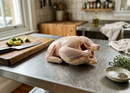 supplier ayam potong mbg bogor