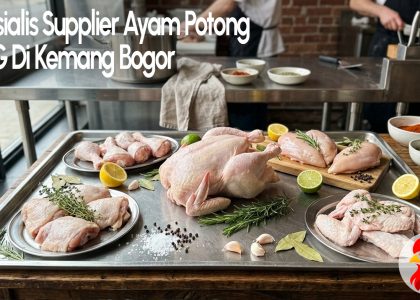 supplier ayam potong mbg kemang bogor